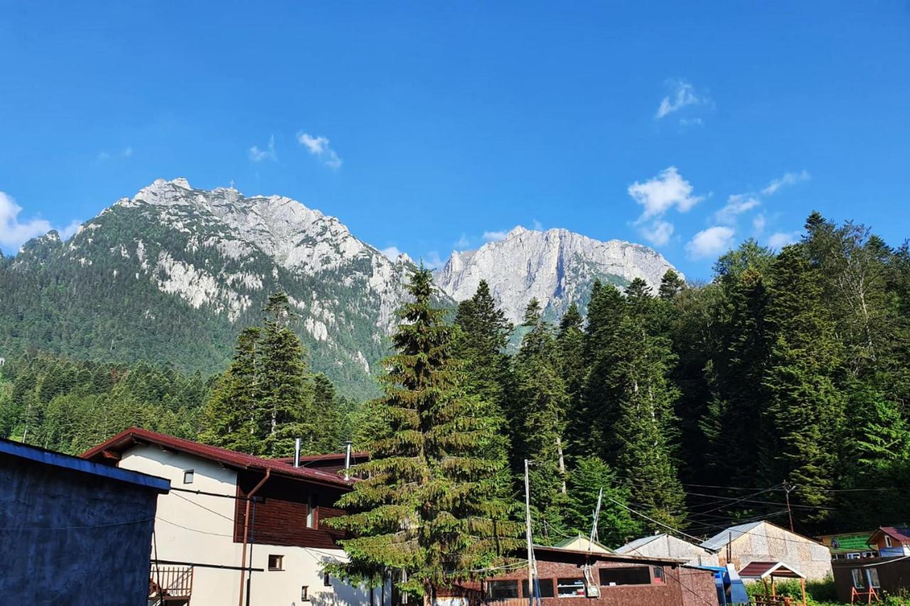 Apartament Eric, Буштени Экстерьер фото